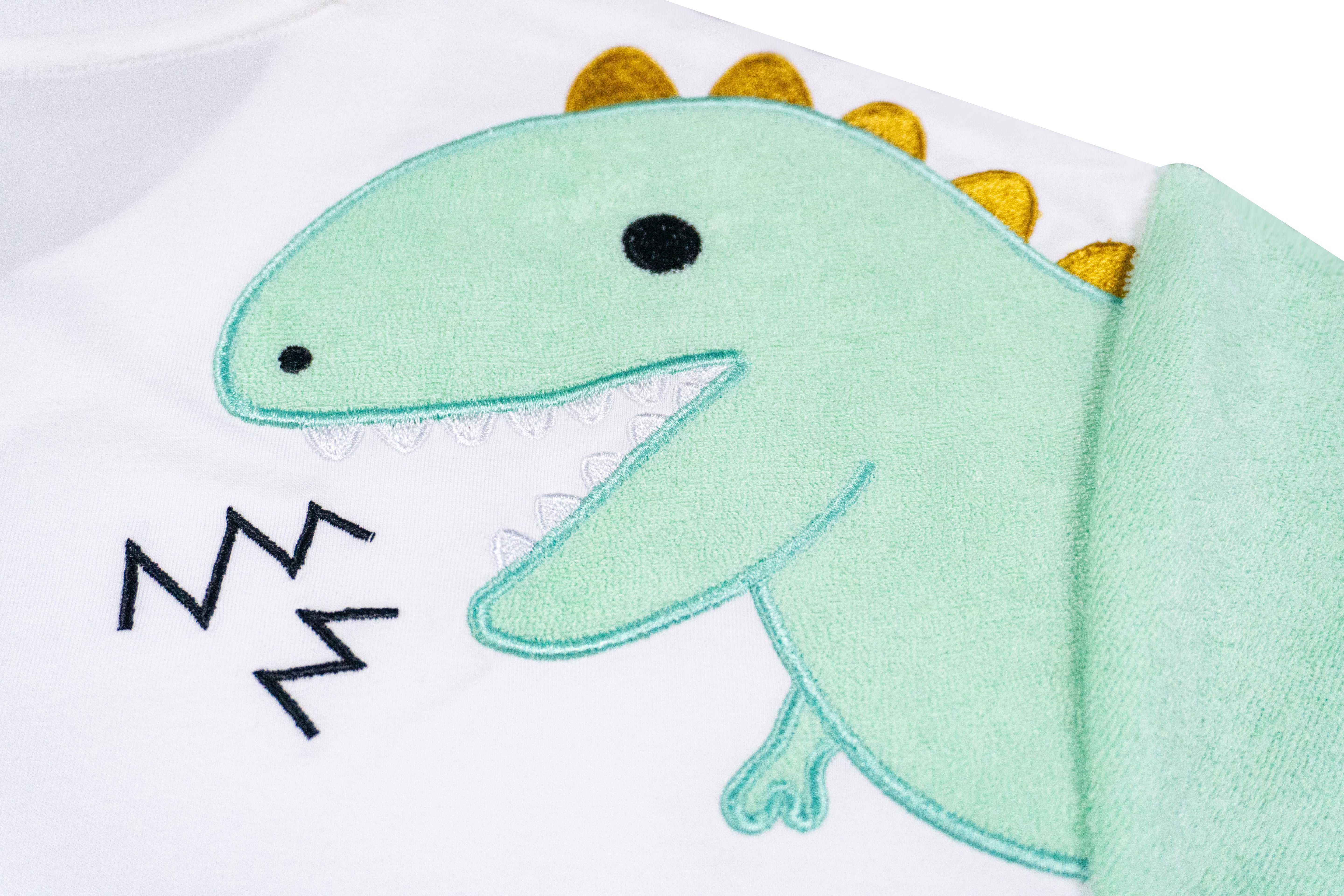 Close up back view of T shirt sleeve